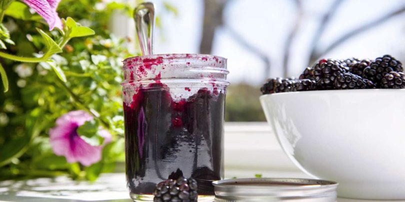 Mulberry Jam Recipe Without Pectin Recipe